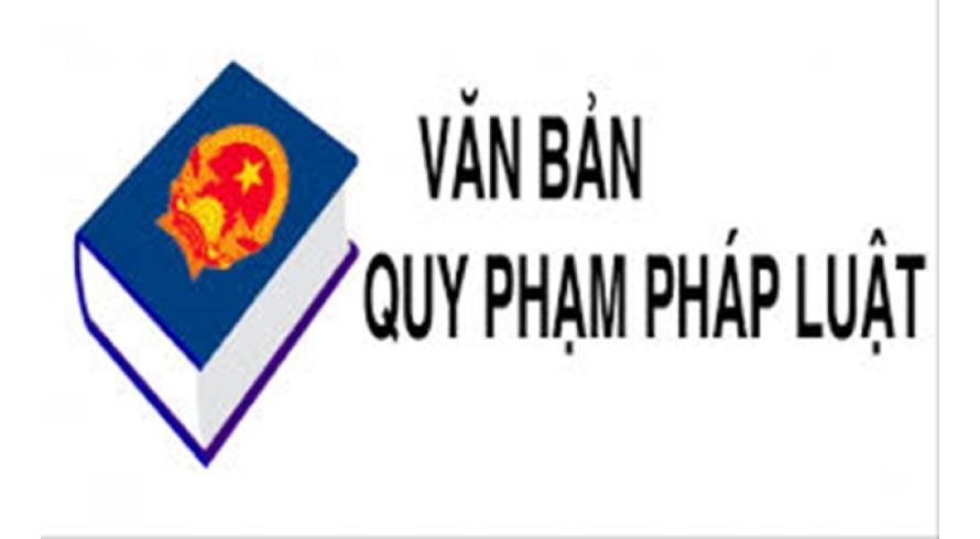  Thông tư số 06/2024/TT-BNV ngày 28/6/2024 của Bộ Nội vụ sửa đổi, bổ sung một số điều của Thông tư số 12/2022/TT-BNV ngày 30/12/2022 của Bộ trưởng Bộ Nội vụ hướng dẫn về vị trí vị trí việc làm công chức lãnh đạo, quản lý; nghiệp vụ chuyên mô